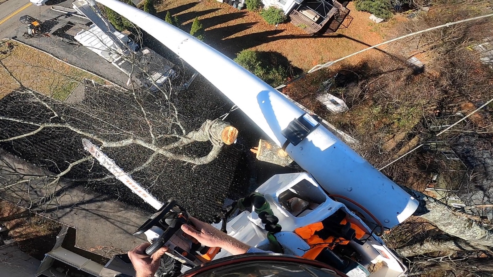 Full service tree care company