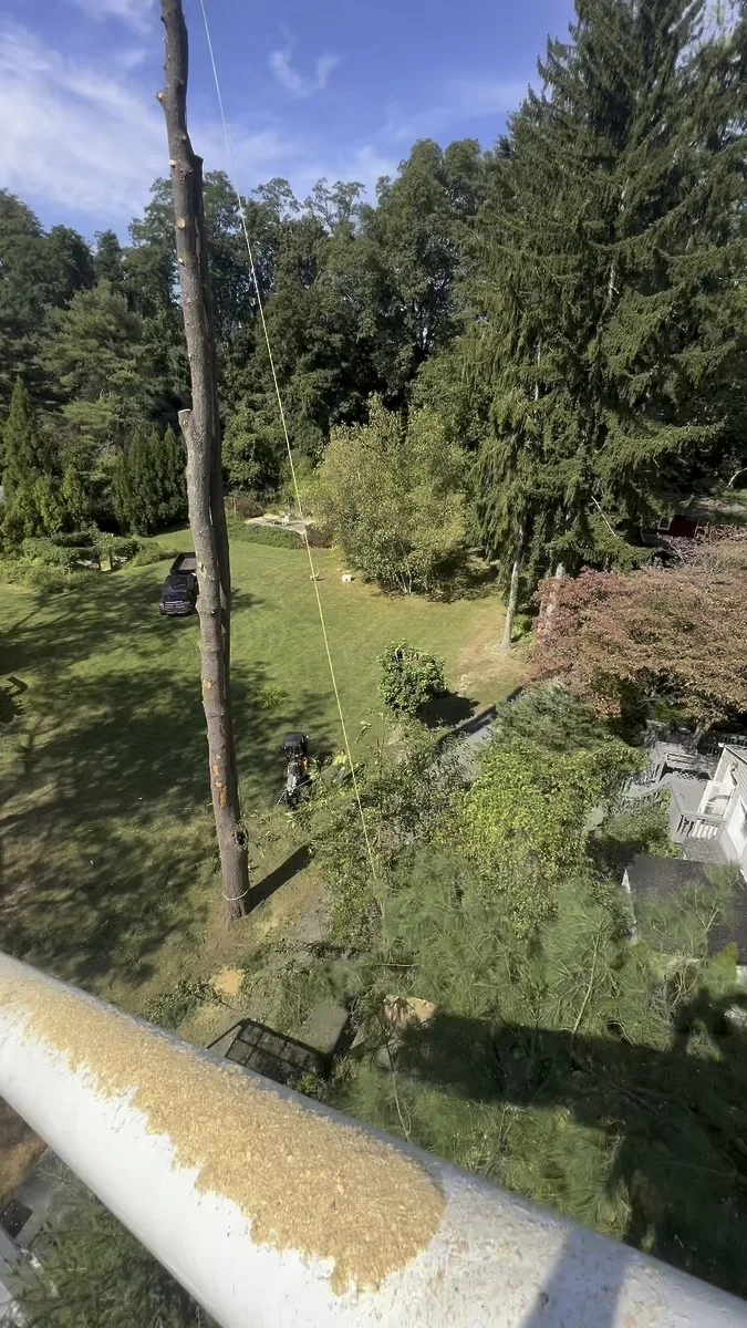 Crane-Assisted Removal - Bedford, NY