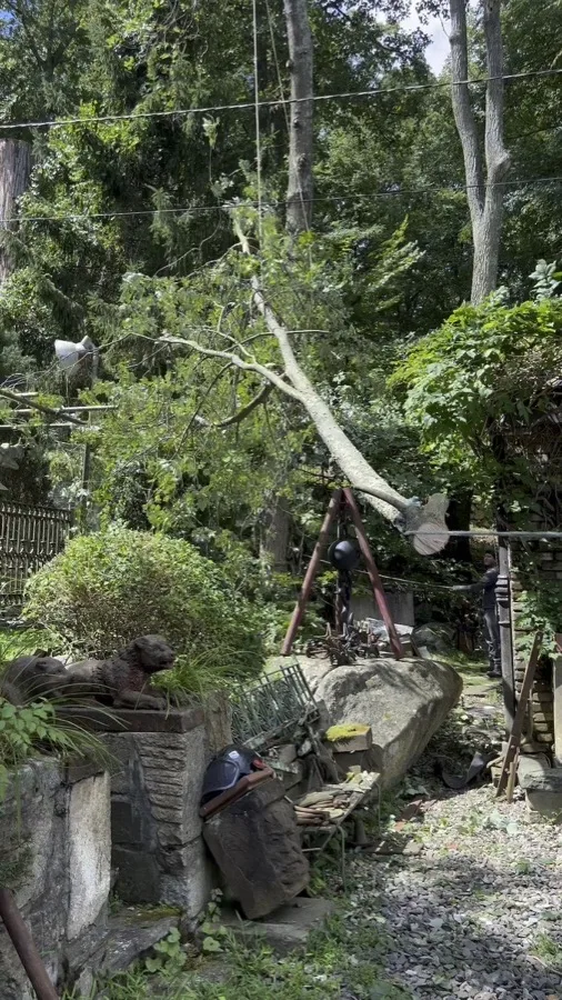 Emergency Removal - Peekskill, NY