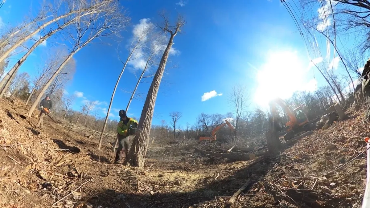 Land clearing project in Westchester County NY
