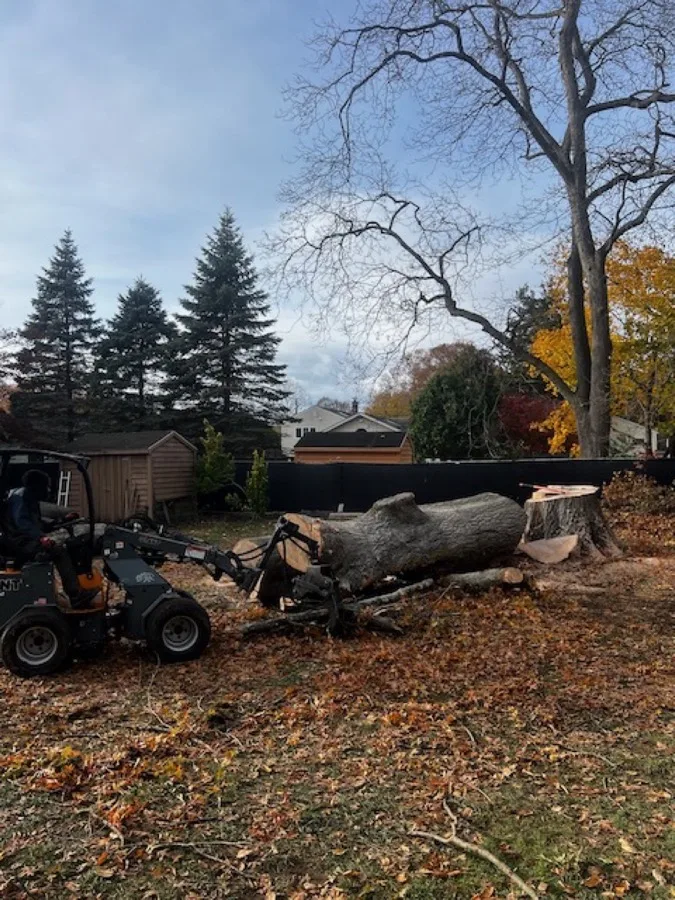 Large tree trunk removal with equipment in North Salem NY