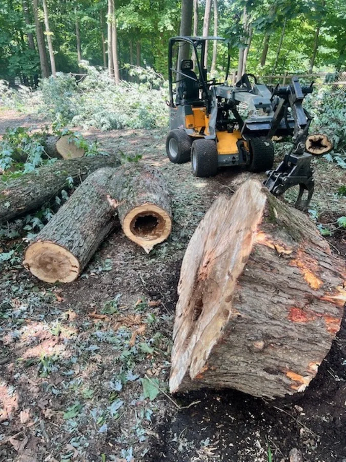 Log removal with grapple equipment in Bedford NY