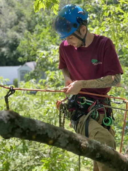 Ryan Knapp - Lead Climber, Second Nature Tree Service