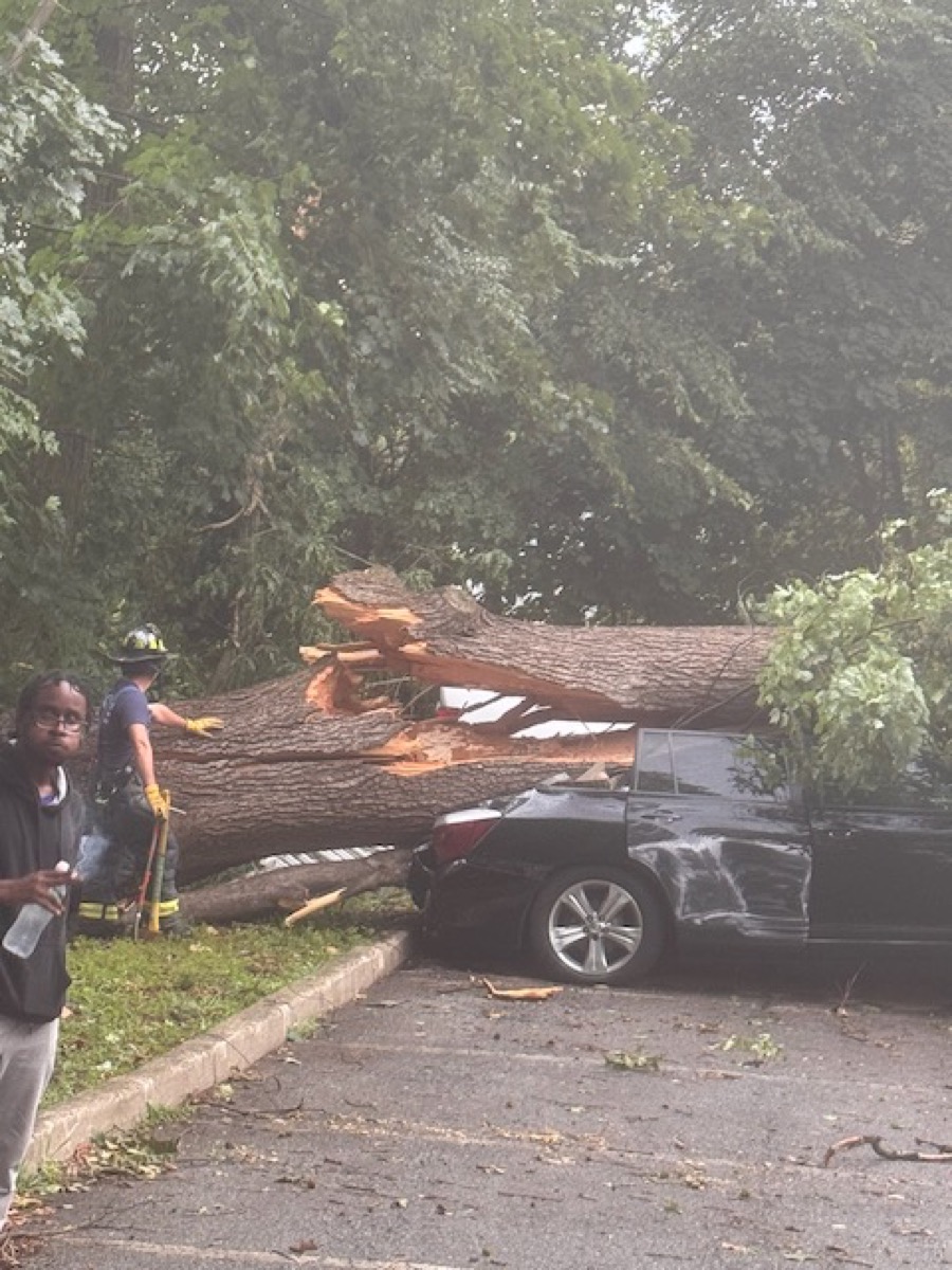 Emergency tree removal after storm in Peekskill NY area
