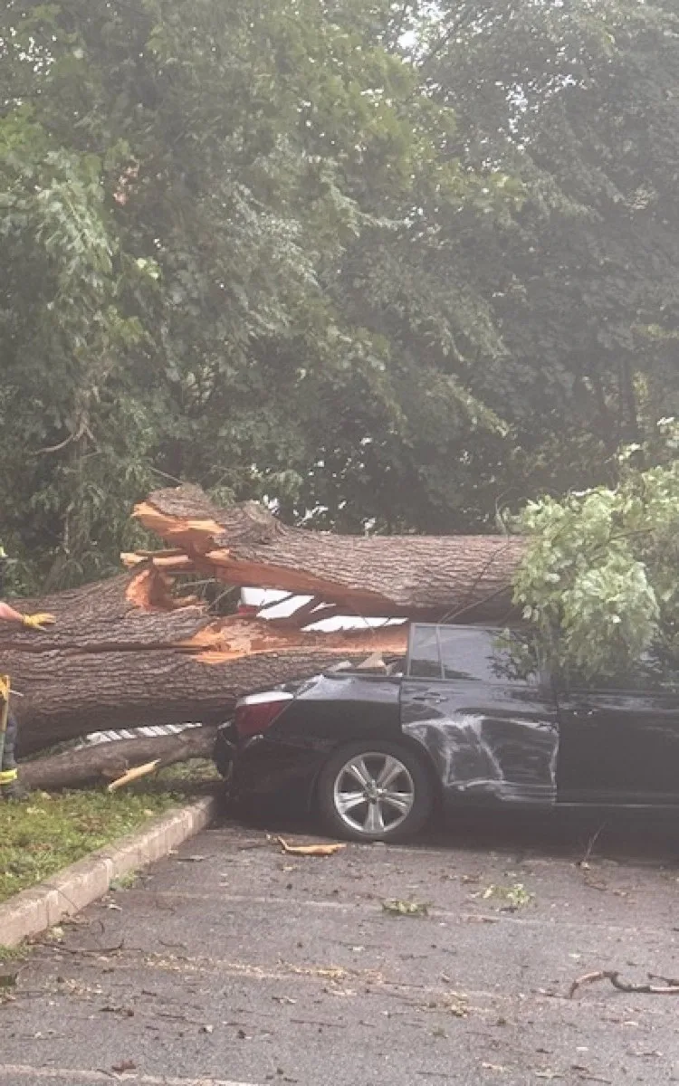 Emergency storm damage tree removal from car in Yorktown NY