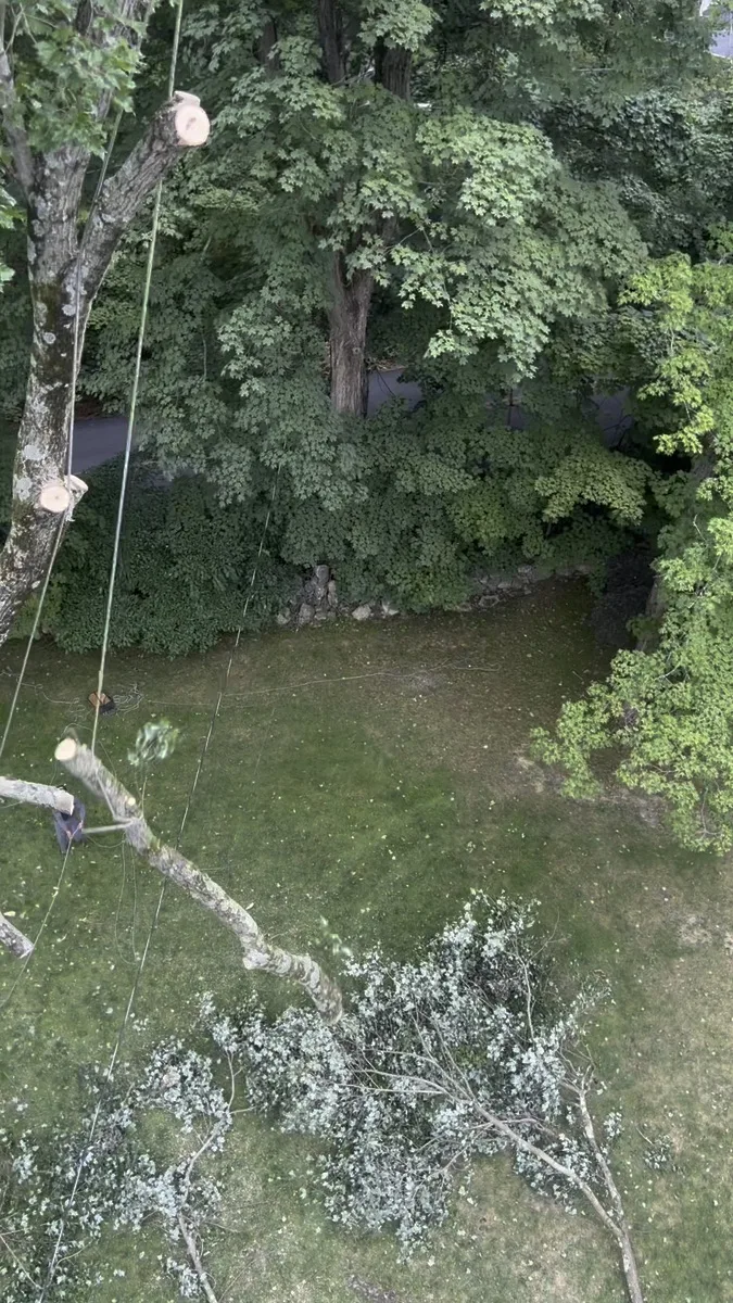 Residential Dismantling - Chappaqua, NY